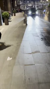 粉丝母狗